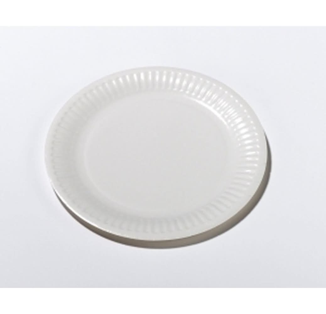Carrefour Home - Assiettes en carton, 18 cm, blanc (50)