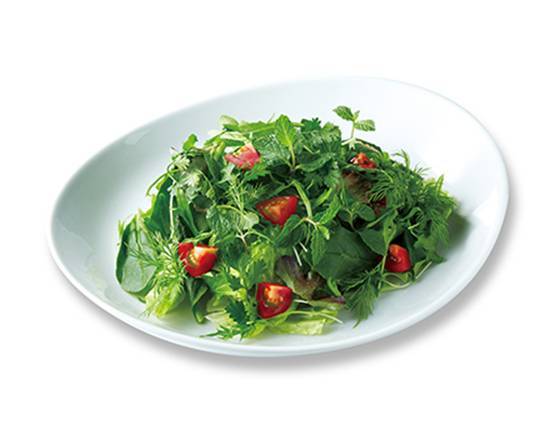 グリーンハーブサラダ Green Herb Salad