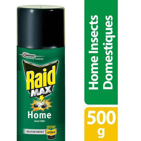 Raid Max Home Insect Killer Spray (500 g)