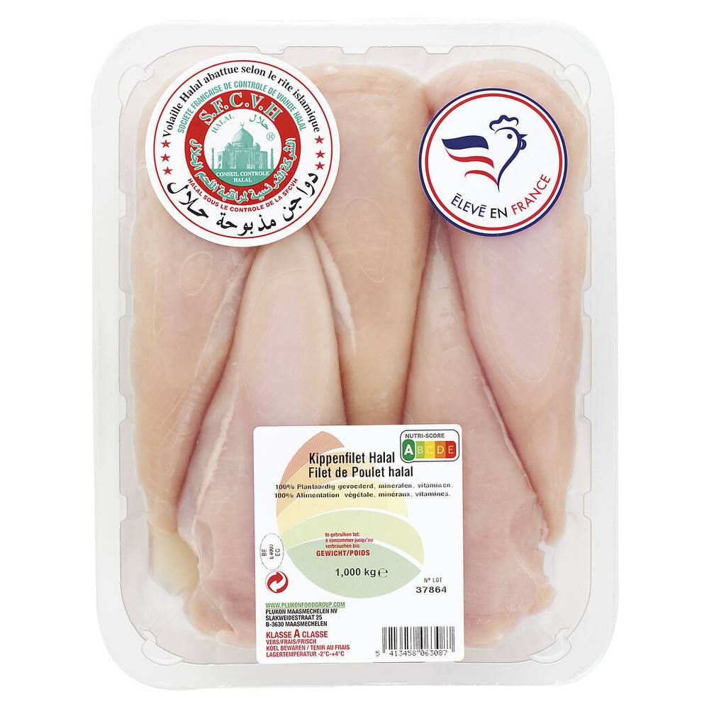 Notre Sélection - Filet de poulet HALAL