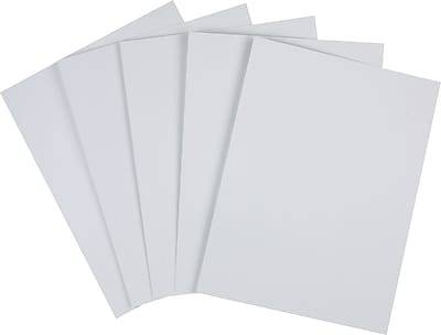 Staples White Paper Sheets (5 ct)