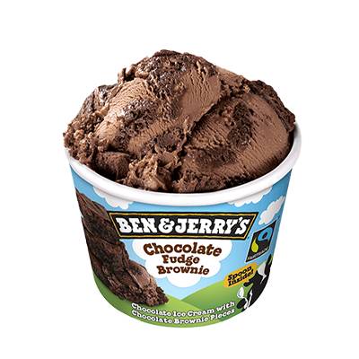 Ben & Jerry's chocolate fudge brownie