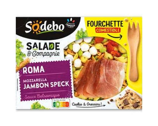 Saladepâtescrudités jambon speck Sodebo 320 g