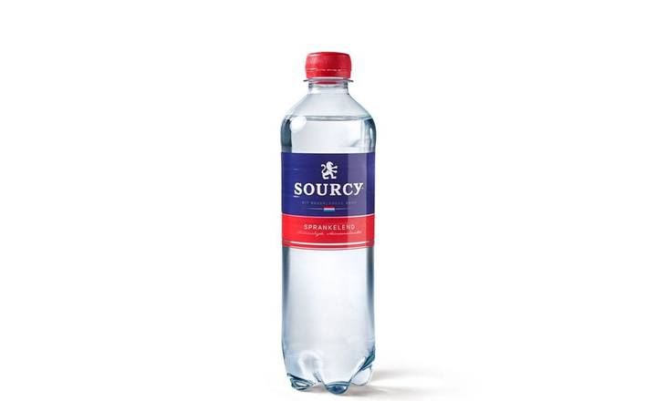 Sourcy bruisend water 500 ml