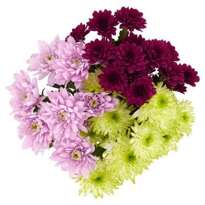 Waitrose & Partners Chrysanthemum Bouquet