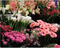 Atelier Floral Design