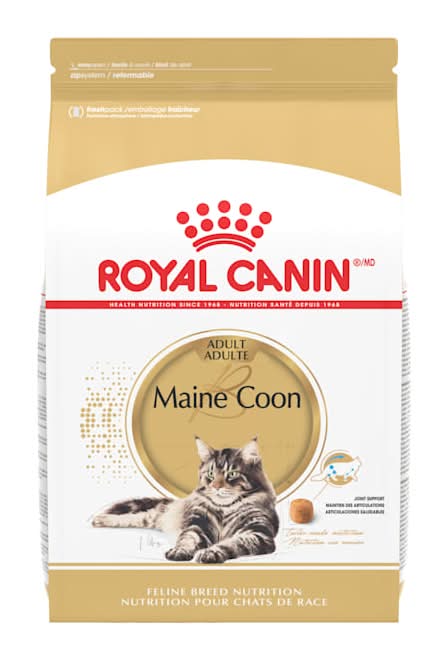 Royal Canin Feline Breed Nutrition Maine Coon Adult Dry Cat Food, 6 lbs.