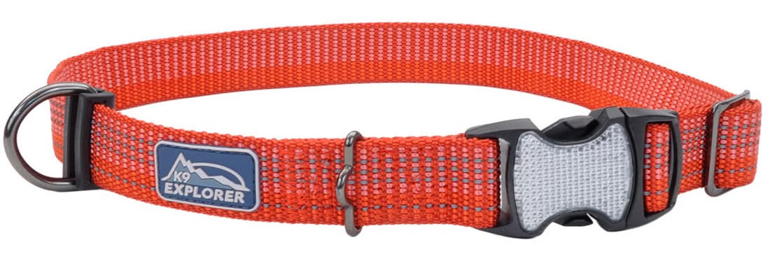 Coastal K9 Explorer Brights Reflective Adjustable Dog Collar, Large - 1" X 18"-26", Canyon