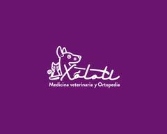 Clínica veterinaria Xolotl