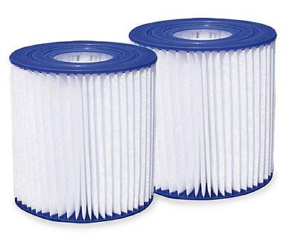 Funsicle D Type Pool Filter Cartridges (2 ct)