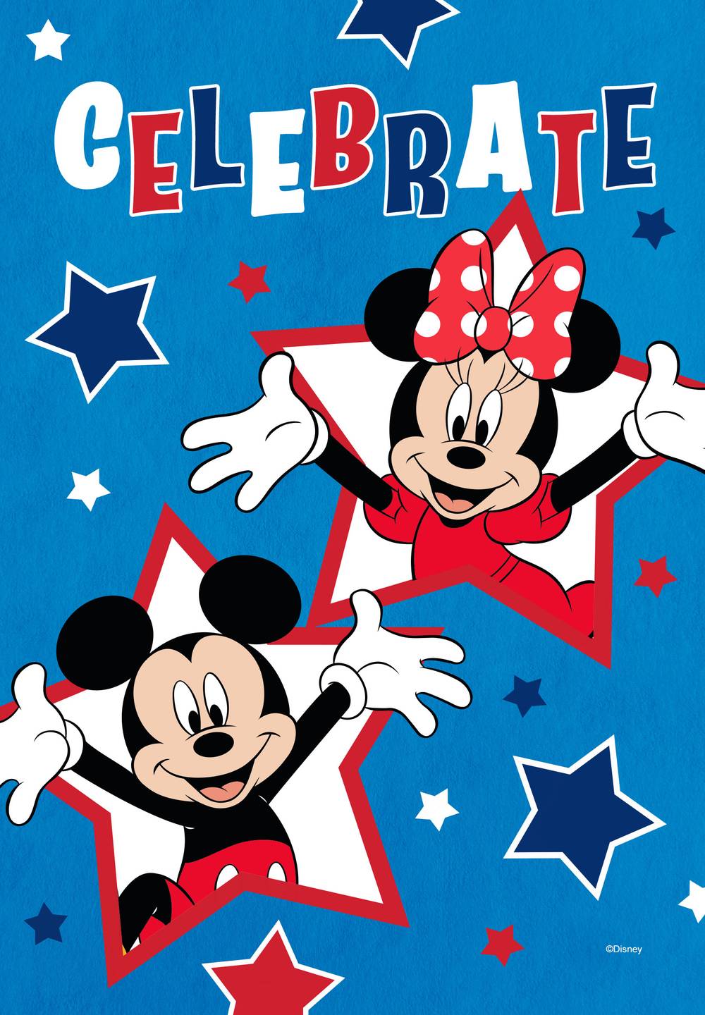 Disney 1.44-ft W x 2.91-ft H Patriotic Garden flag Kit | 10-1315-92-01