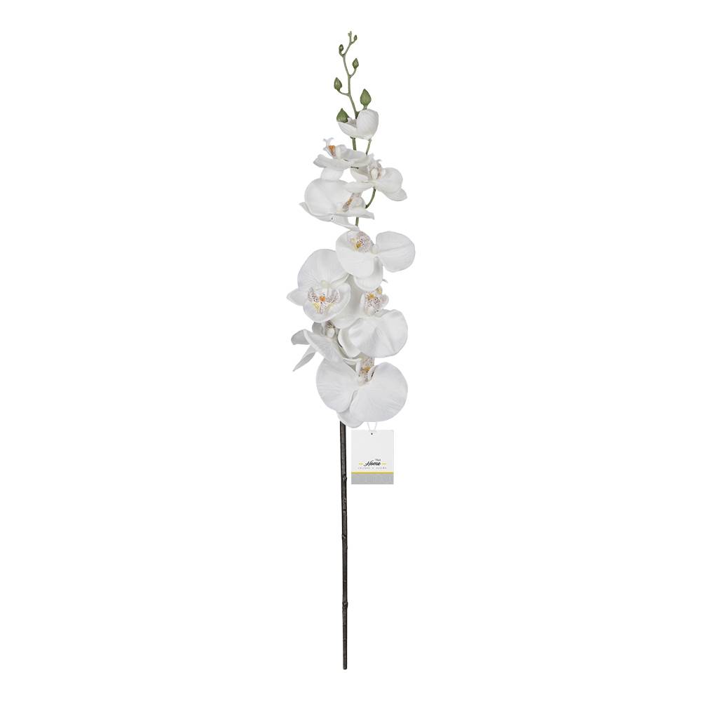 T&a home flor orquídea blanca (1 pieza)