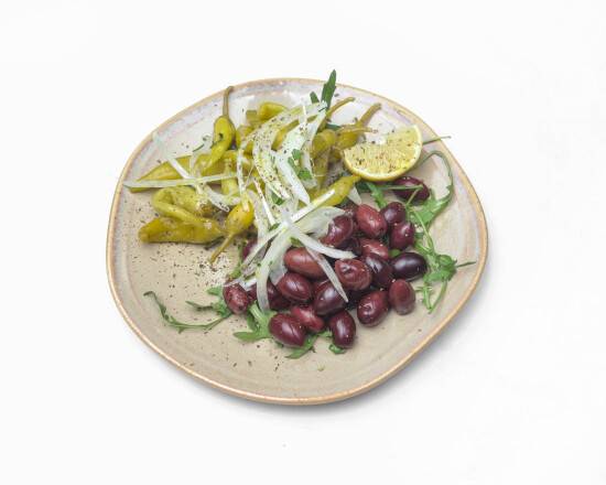 wasserbedarf olivenbaum im topf Olive 