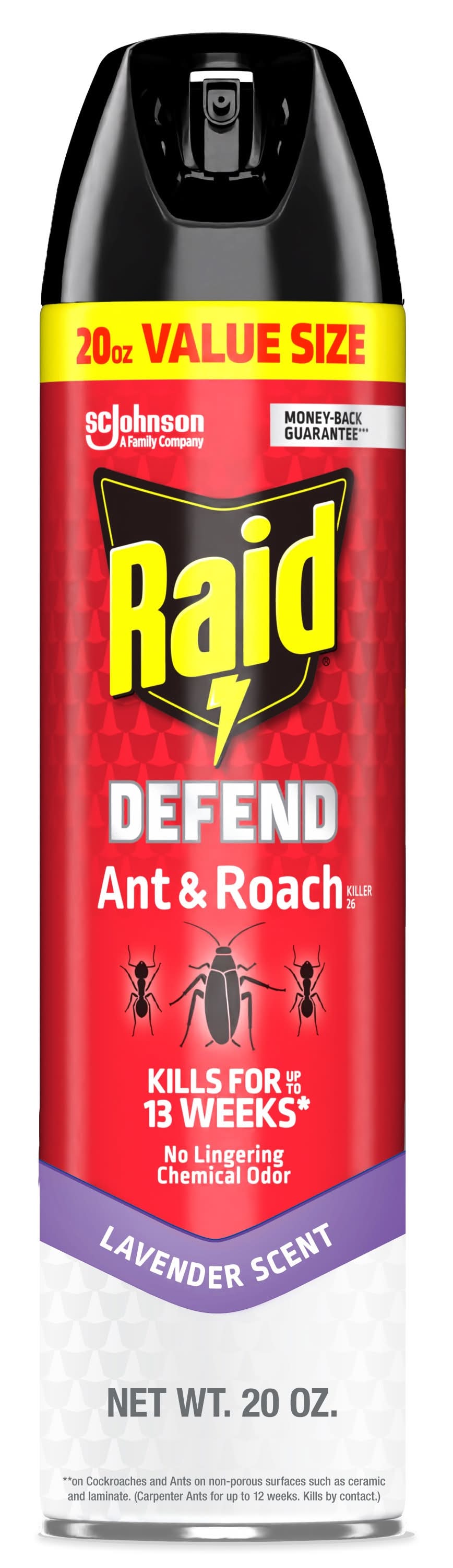Raid 20 Ounce(s) Defend Ant and Roach Killer Indoor Spray