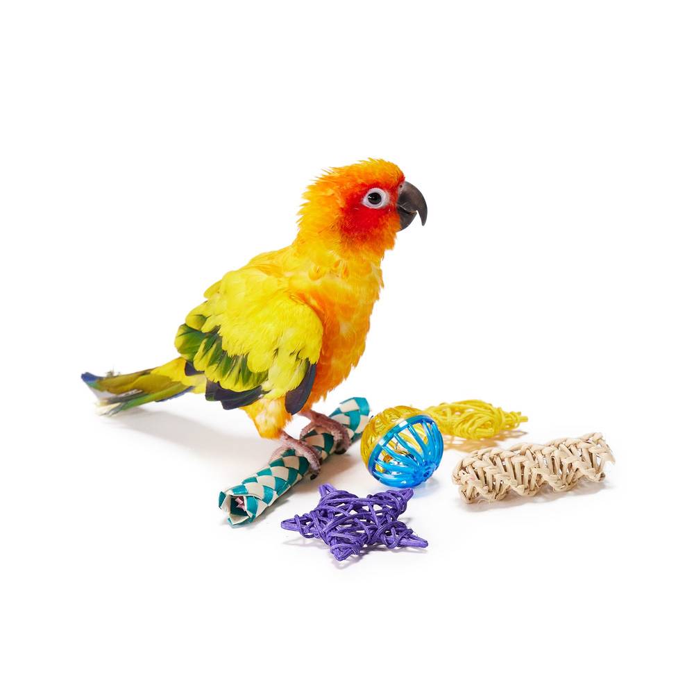 All Living Things® Bird Toy Value Pack (Size: Small)