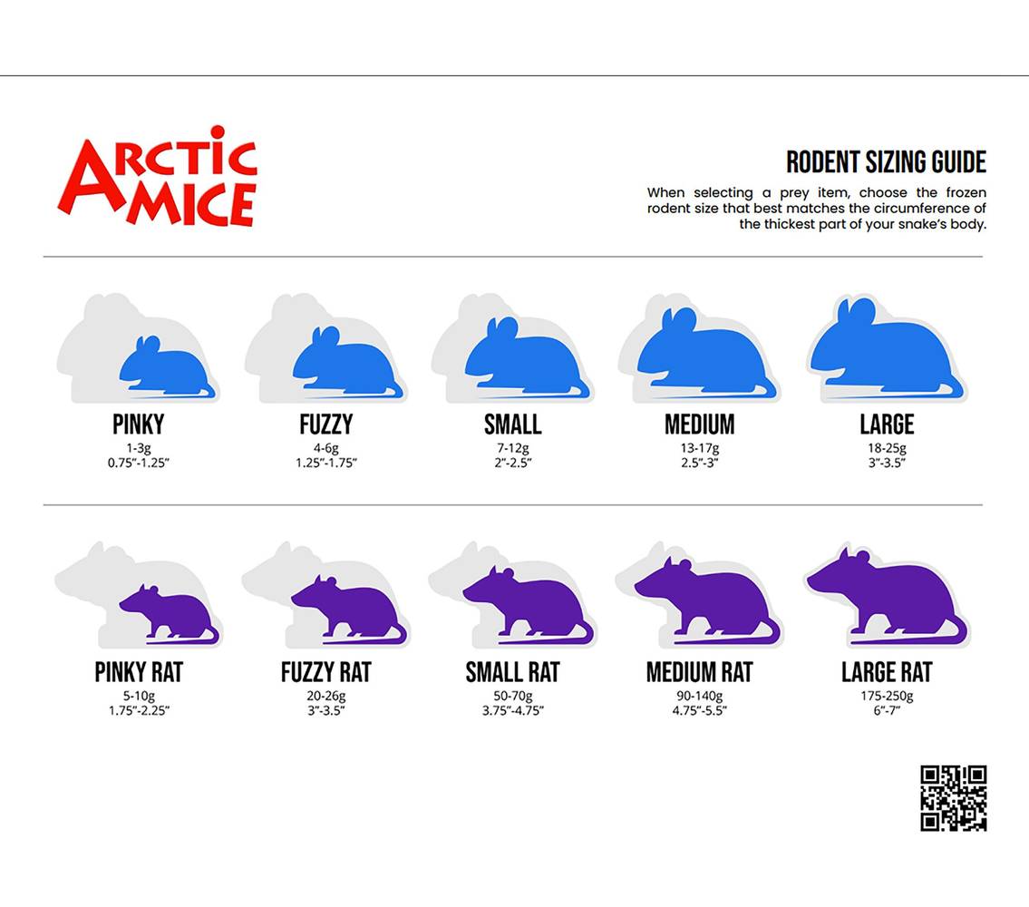 Arctic Mice Frozen Small Rats (10 ct)