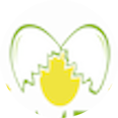 Scramblers (Perrysburg)