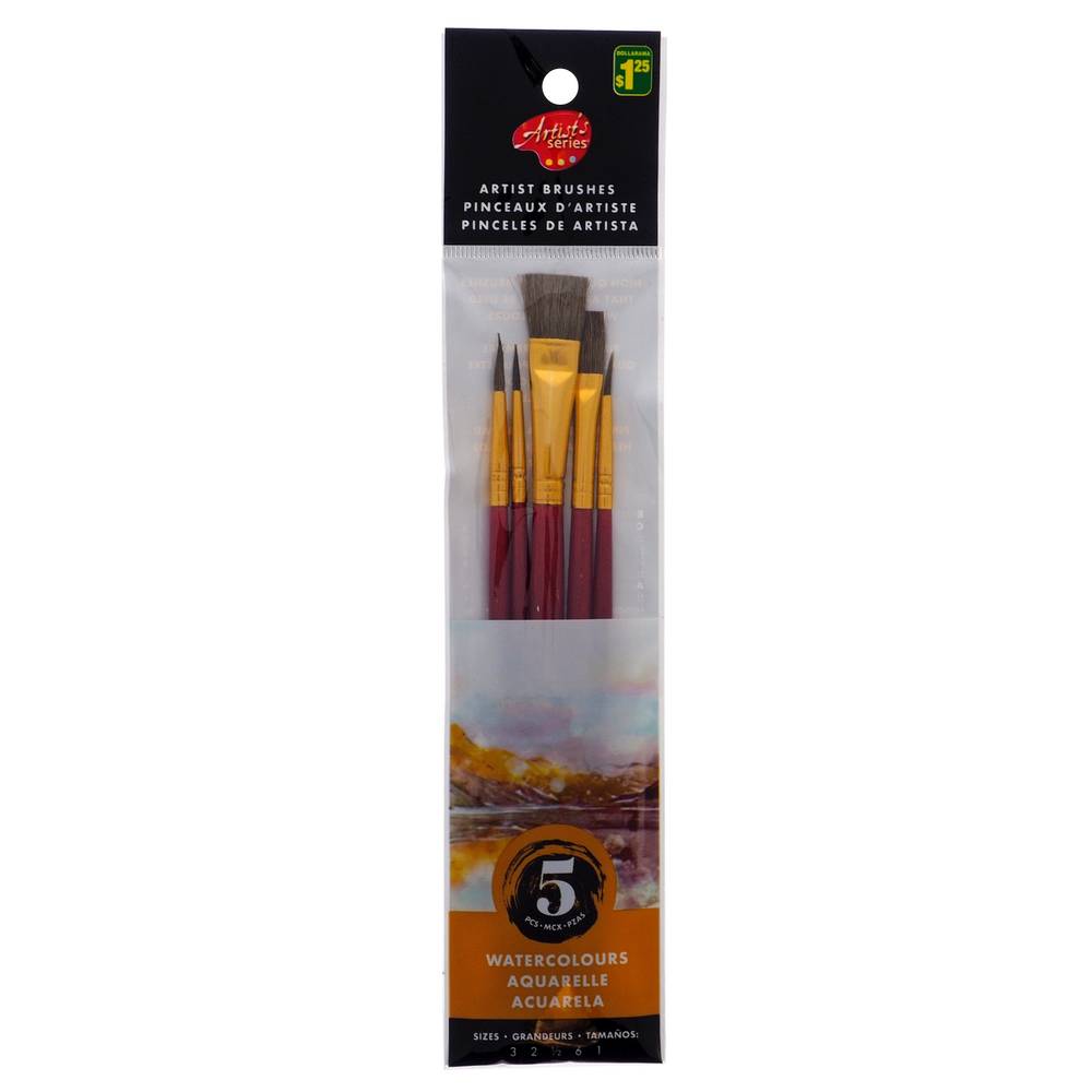 Artist Paint Brush Set, 5 Pack