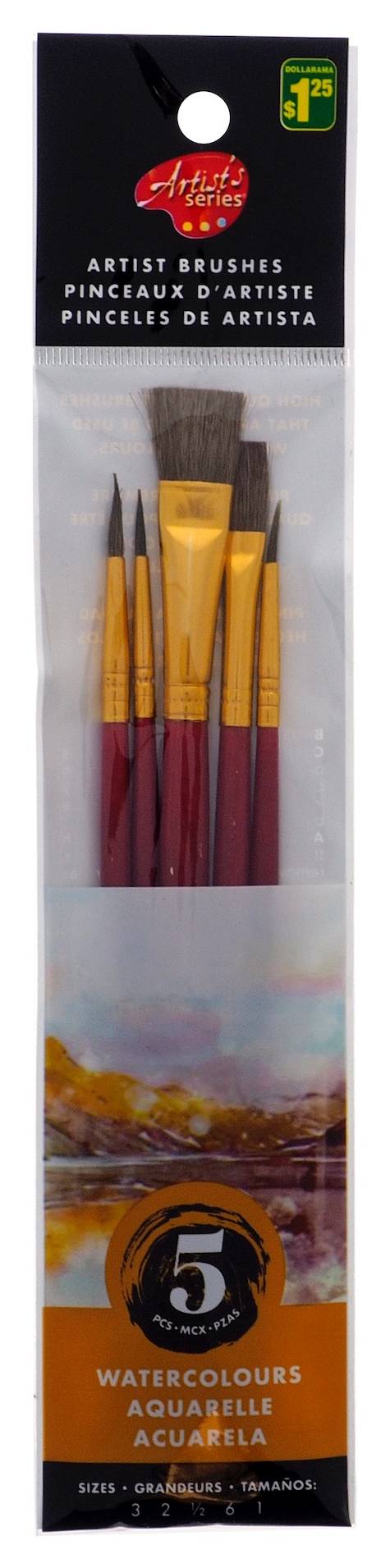 Artist's Series Artist Paint Brush Set (5 ct)