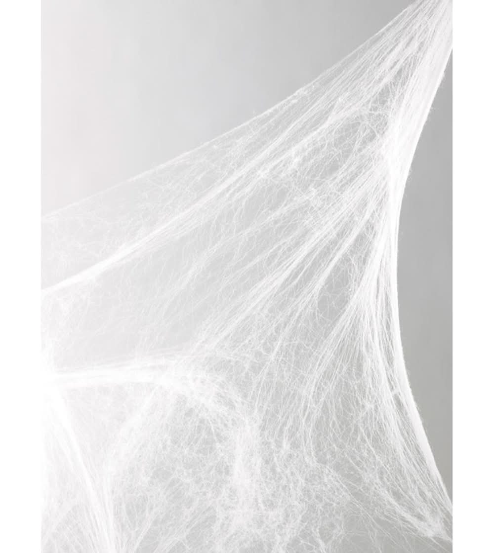 Fun World 18 In. Spider Web Halloween Decor