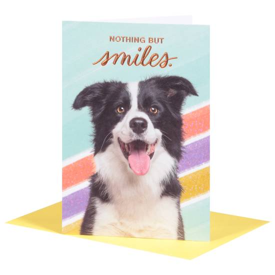 American Greetings Nothing But Smiles Greeting Card