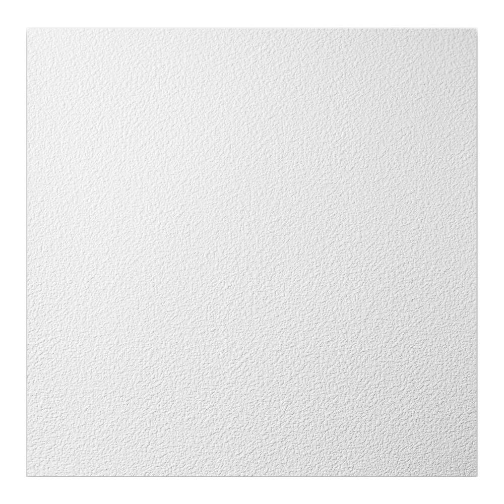 Genesis 2-ft x 2-ft Stucco Pro White PVC Drop Ceiling Tile (1-Pack, 4-sq ft / Case) | 760-00