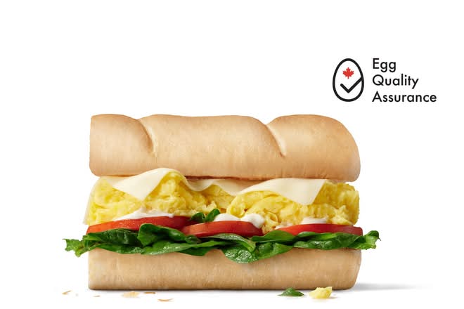 Cheese & Egg