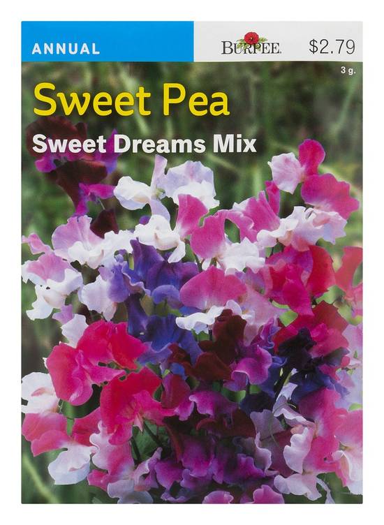 Burpee Sweet Pea Seeds (1 ct)