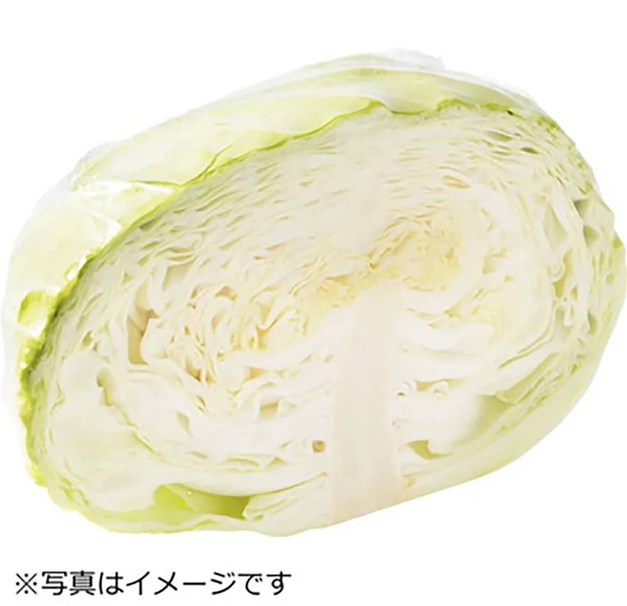 きゃべつ 1/2ｶｯﾄ