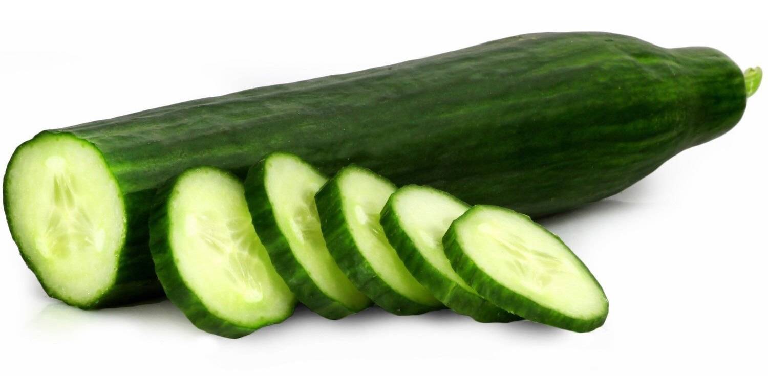 Concombre bio