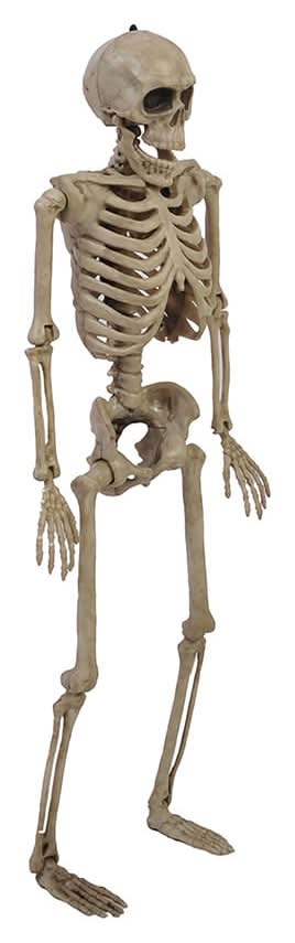 Haunted Living 1-ft Skeleton Figurine