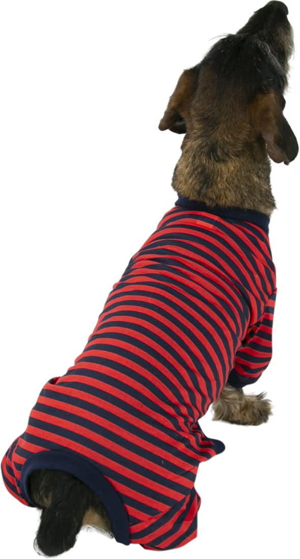 women's dress for fall wedding guest kutkutstyle-frock-kutkut-2pcs-turtleneck-dog-sweater-for-small-dog-cat-girl- fall-dog-sweater-dress-with-pocket-d-ring-puppy-sweater-fleece-dog-dress-with- main image 0