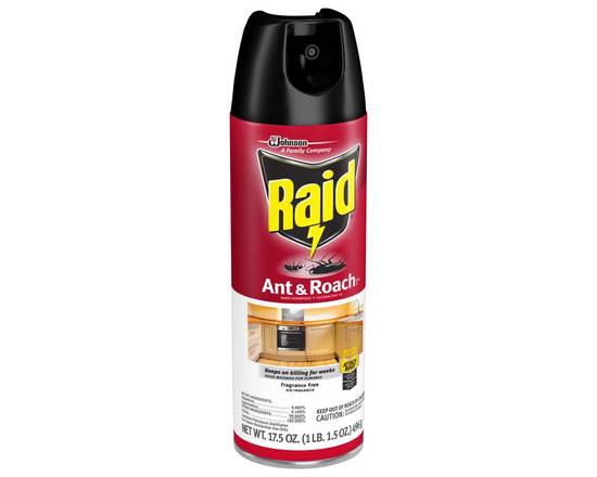 Raid · Fragrance Free Ant & Roach Killer (17.5 oz)