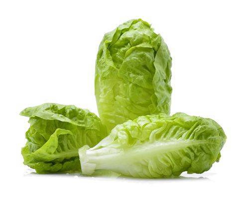 Queen Victoria Romaine Hearts Lettuce (3 ct)
