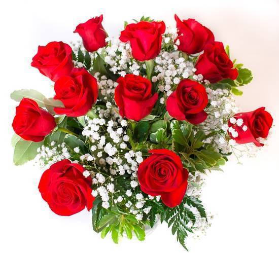 Dozen Red Rose Arrangement - premium vase