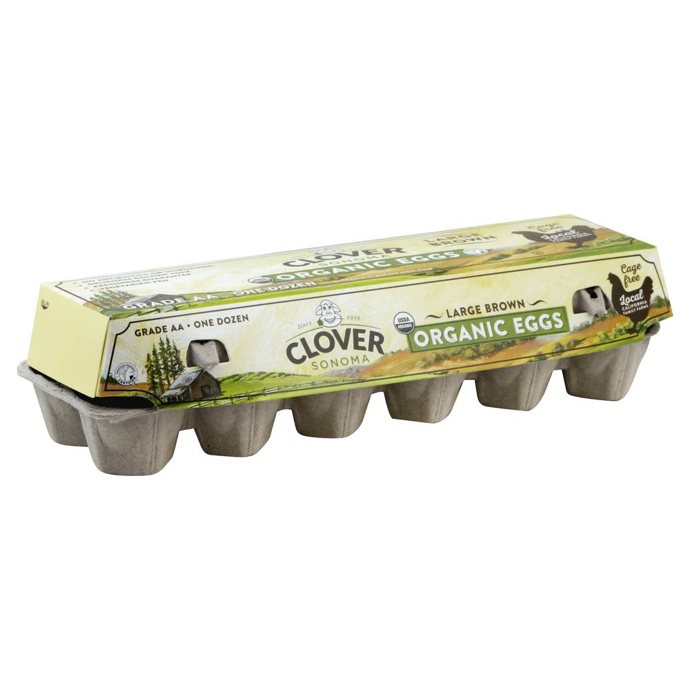 Clover Sonoma Organic Brown Eggs, Large (12 ct)