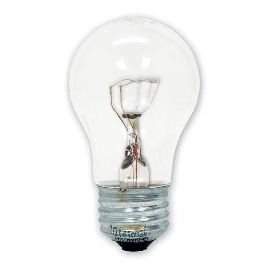 GE Clear Specialty Bulb Appliance 40 Watt (1 ct)
