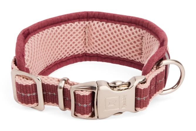 Reddy Stripe Dog Collar, Burgundy, X-Small/Small
