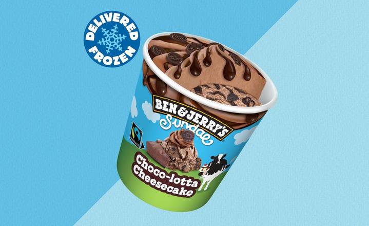 Ben & Jerry's Choco-lotta Cheesecake Sundae Ice Cream Tub 465ml