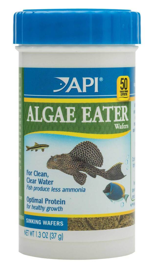 API Algae Eater Wafers Fish Food (1.3 oz)