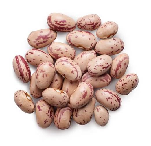 Pinto Beans