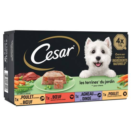Cesar barquettes en terrines 4 variétés pour chien