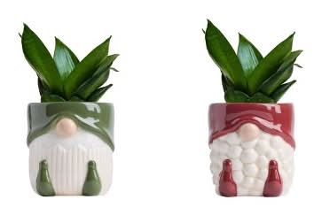 LiveTrends Merry Makers