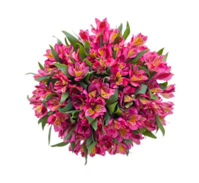 Debi Lilly Alstroemeria 15 Stem - Each