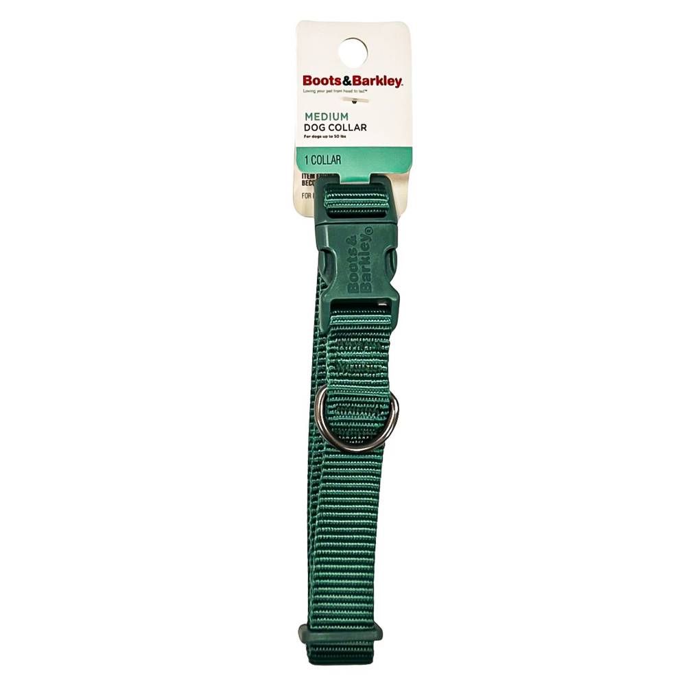 Basic Dog Adjustable Collar with Color Matching Buckle - M - Green - Boots & Barkley™