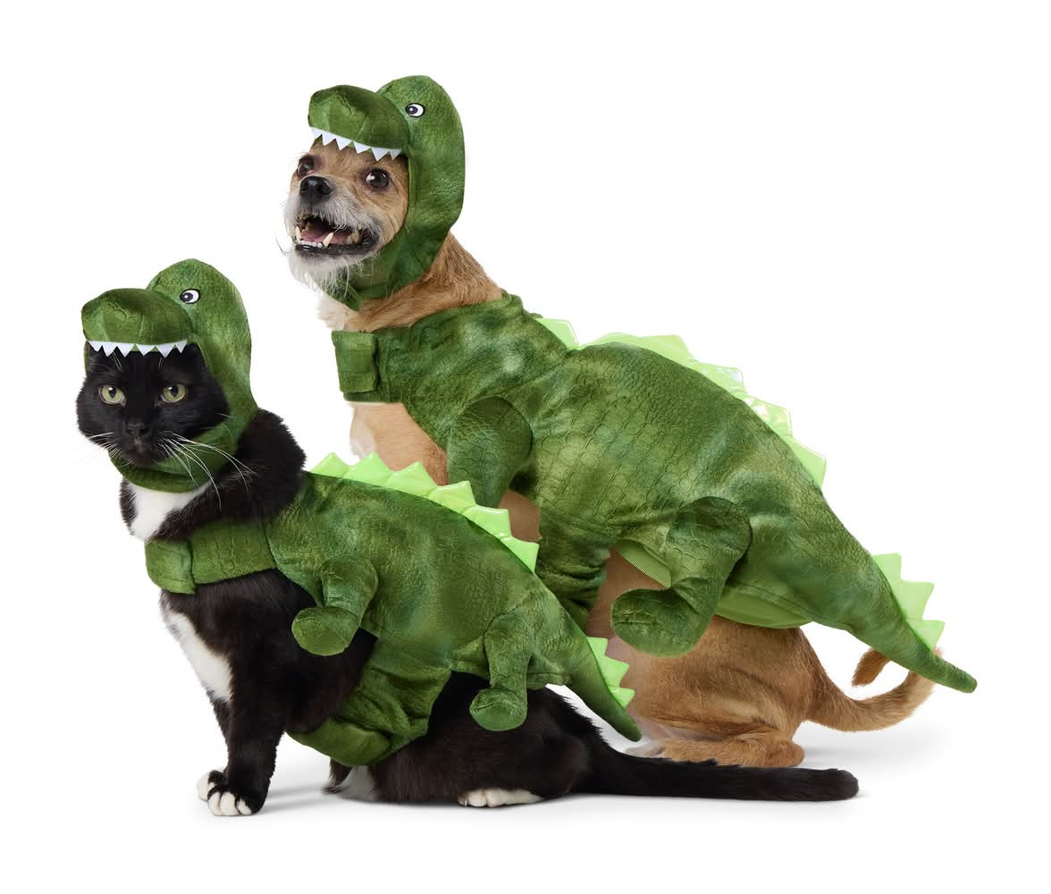 Thrills & Chills® Dinosaur Dog & Cat Costume (Color: Multi Color, Size: Large)