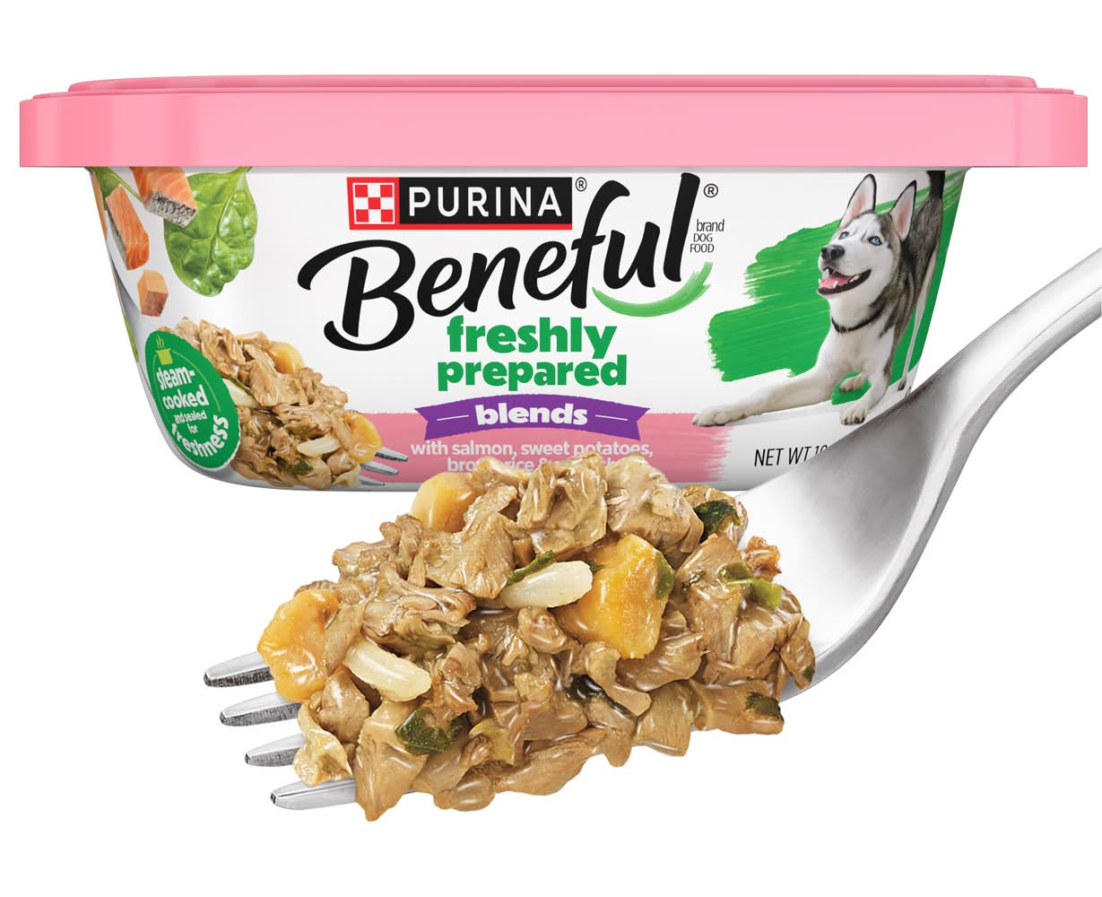 Purina Beneful Chopped Blends Salmon Wet Dog Food (10 oz)