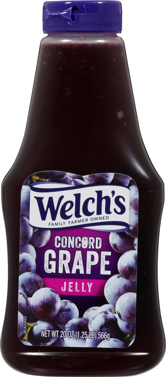 Welch's Concord Grape Jelly (20 oz)