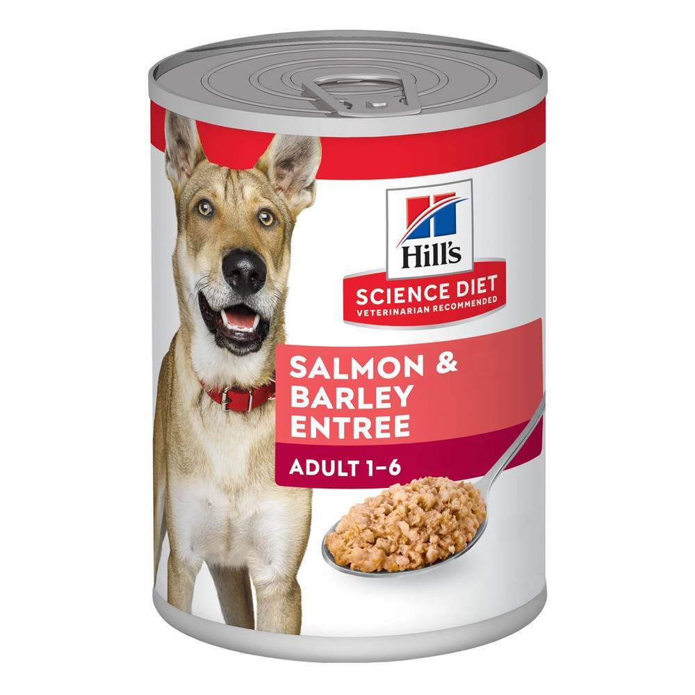 Hill's Science Diet Salmon & Barley Entree Adult Dog Wet Food (13 oz)