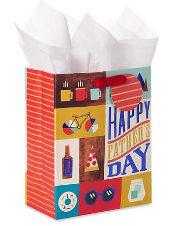 Hallmark Father's Day Gift Bag With Tissue Paper
